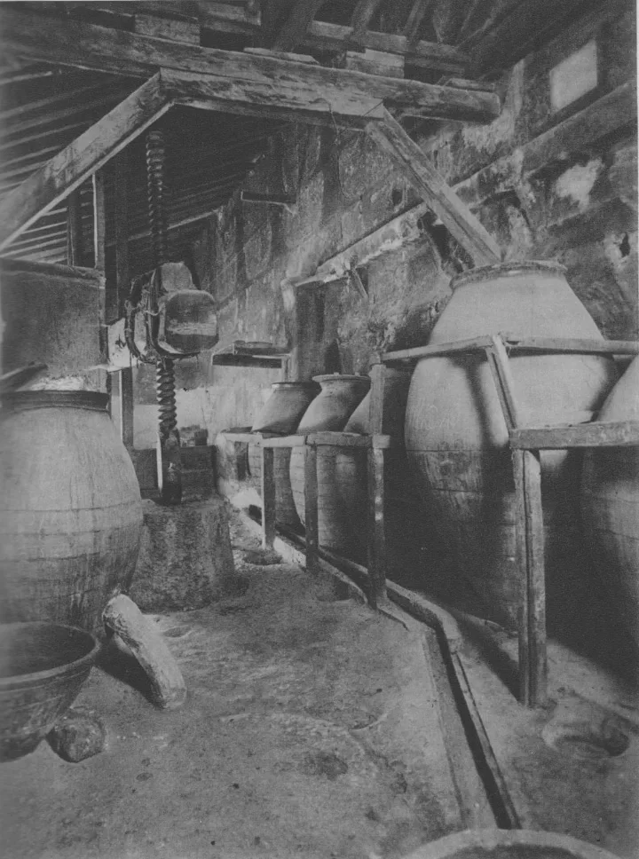 Bodega subterránea con tinajas en la Casa Museo de Cervantes de Esquivias