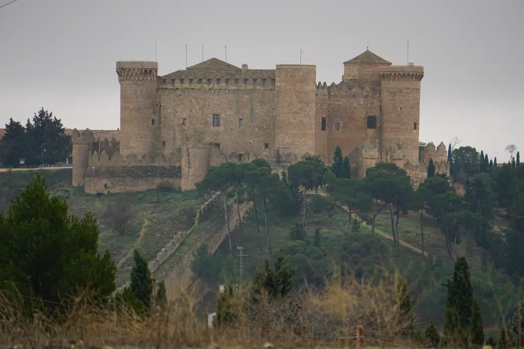 Castillo de Belmonte sobre su cerro, visto desde lejos entre pinos