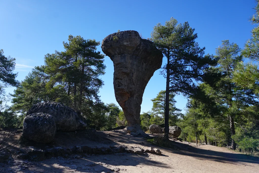El Tormo Alto, roca en forma de seta sobre una base estrecha, entre pinos en la Ciudad Encantada de Cuenca