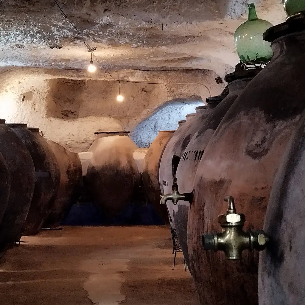 Tinajas de barro en una cueva-bodega excavada bajo una casa de Tomelloso