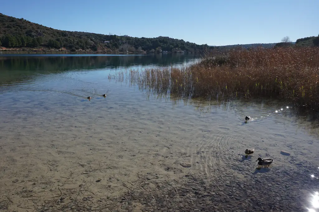 Aguas transparentes de la laguna del Rey, en el pueblo de Ruidera