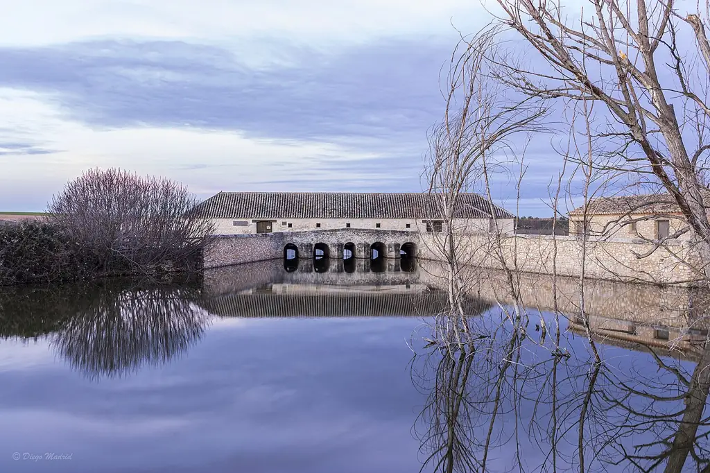 Molino de Molemocho reflejado en el agua, junto a las Tablas de Daimiel