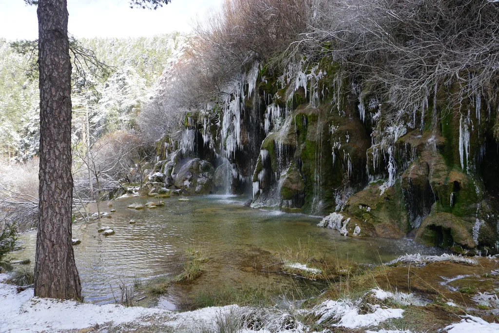 Cascada de toba y musgo con carámbanos de hielo en el nacimiento del río Cuervo en invierno