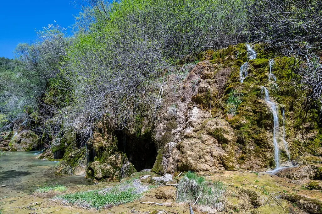 Cascadas de toba cubiertas de musgo en el nacimiento del río Cuervo