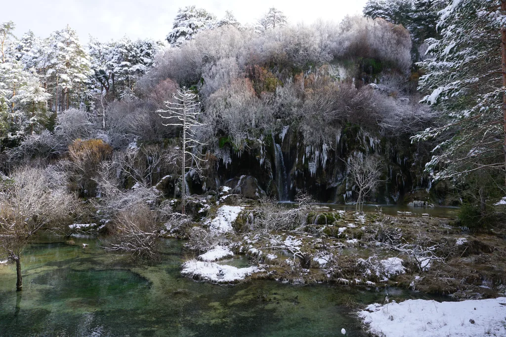 El nacimiento del río Cuervo nevado, con cascadas entre la vegetación helada y una poza de agua verde