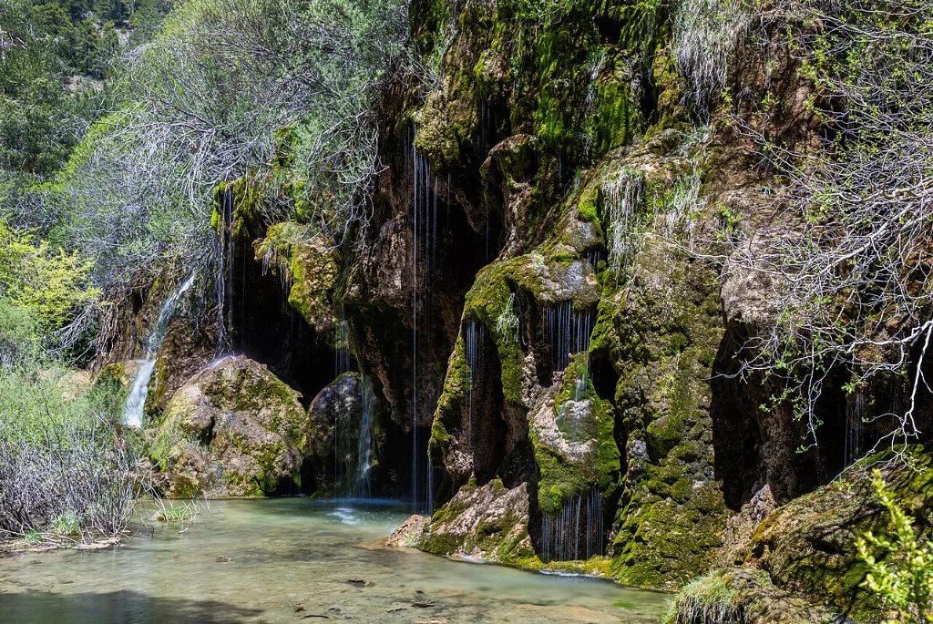 Agua cayendo entre musgo y rocas en el nacimiento del río Cuervo