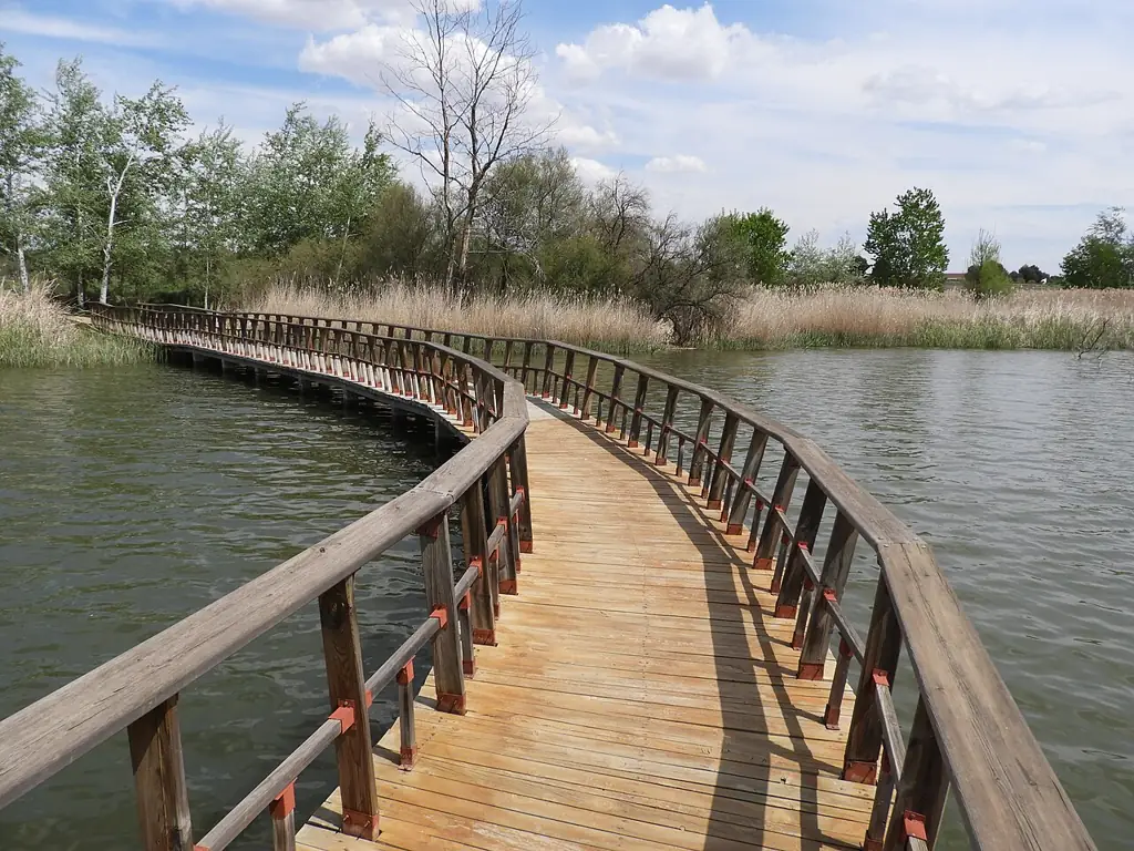 Pasarela curva del itinerario de la Isla del Pan, en las Tablas de Daimiel
