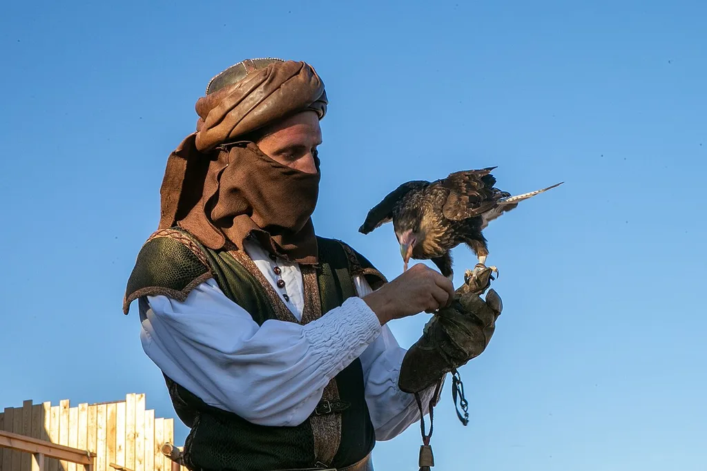 Cetrero con un ave en un espectáculo de Puy du Fou España