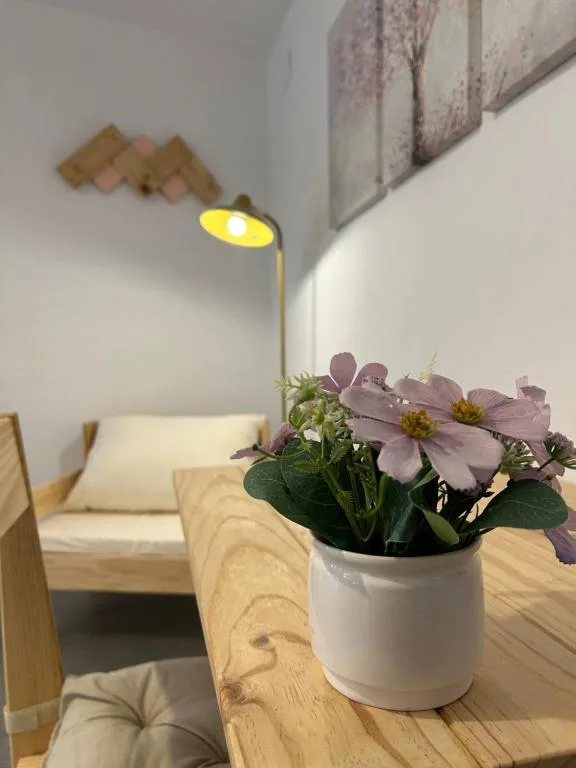 Apartamentos El Búho, Belmonte